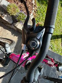 2 MOUNTAIN BIKE