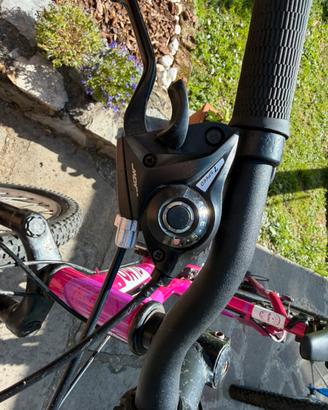2 MOUNTAIN BIKE