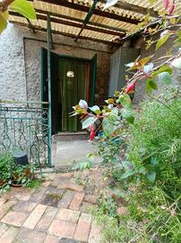 4 LOCALI A OLEVANO ROMANO