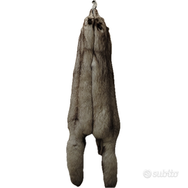 Pelli di volpe conciate