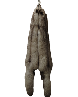 Pelli di volpe conciate