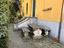 Immagine 10
