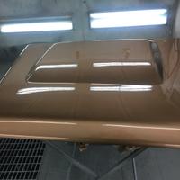 Cofano Land rover Defender Puma conbato