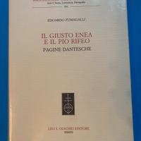 Libro su Dante - Il giusto Enea e il Pio Rifeo