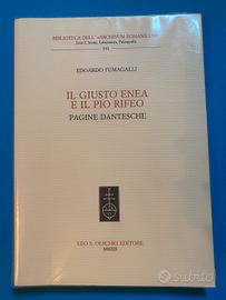 Libro su Dante - Il giusto Enea e il Pio Rifeo