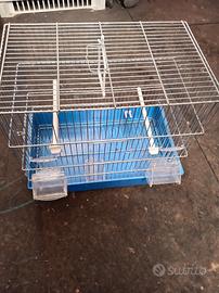 gabbia uccelli 