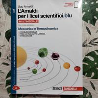 L'amaldi per i licei scientifici blu 