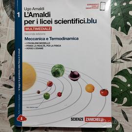 L'amaldi per i licei scientifici blu 