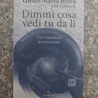 Libro Guido Maria Brera Dimmi cosa vedi tu da lì