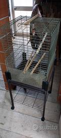 gabbia gabbietta uccelli
