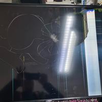 tv samsung 43 pollici display rotto