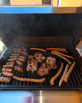 barbecue weber spirit 2