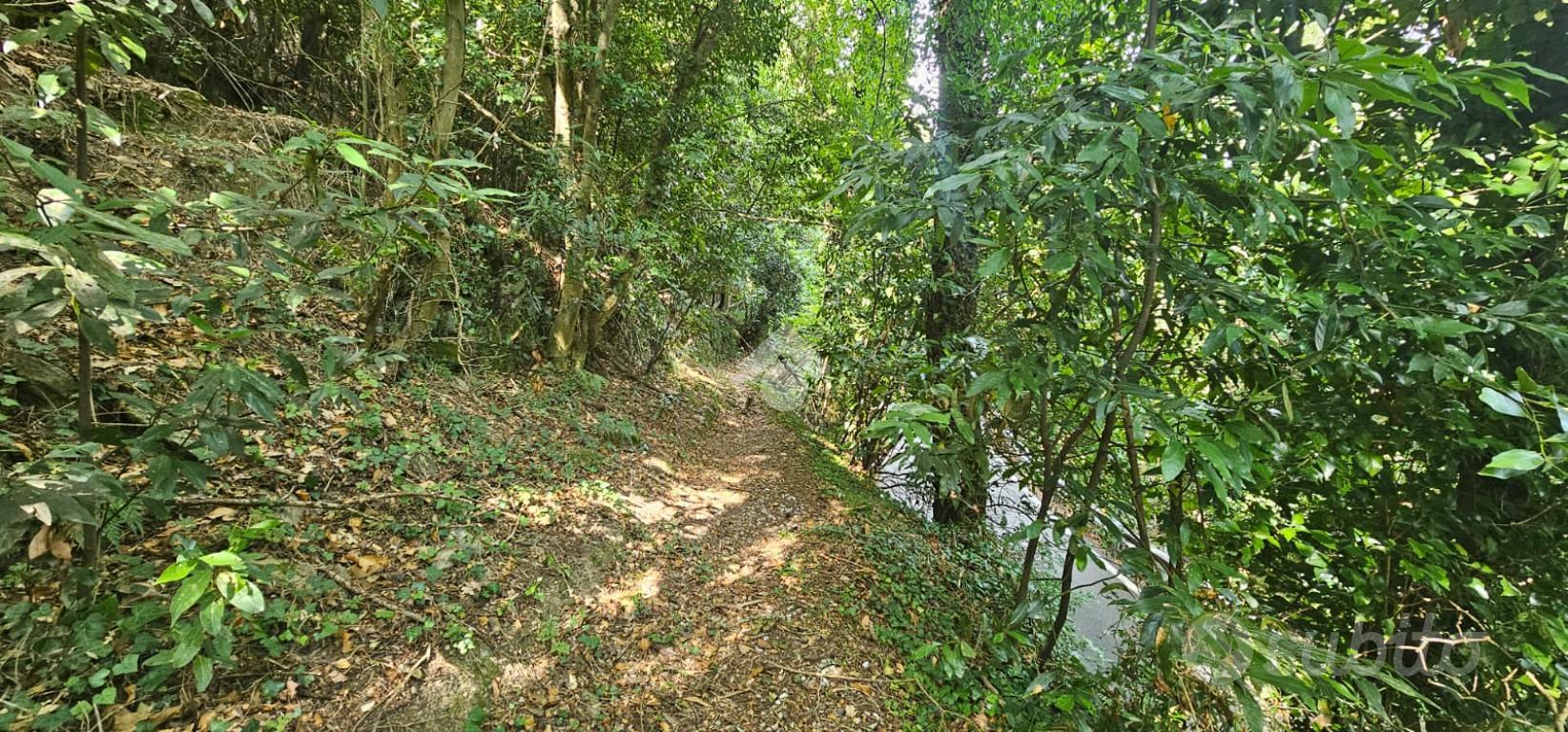 TER. AGRICOLO A CHIAVARI - Vista 3