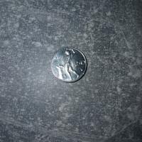 moneta 50 lire piccole del 1993
