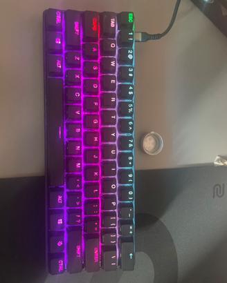 apex pro mini