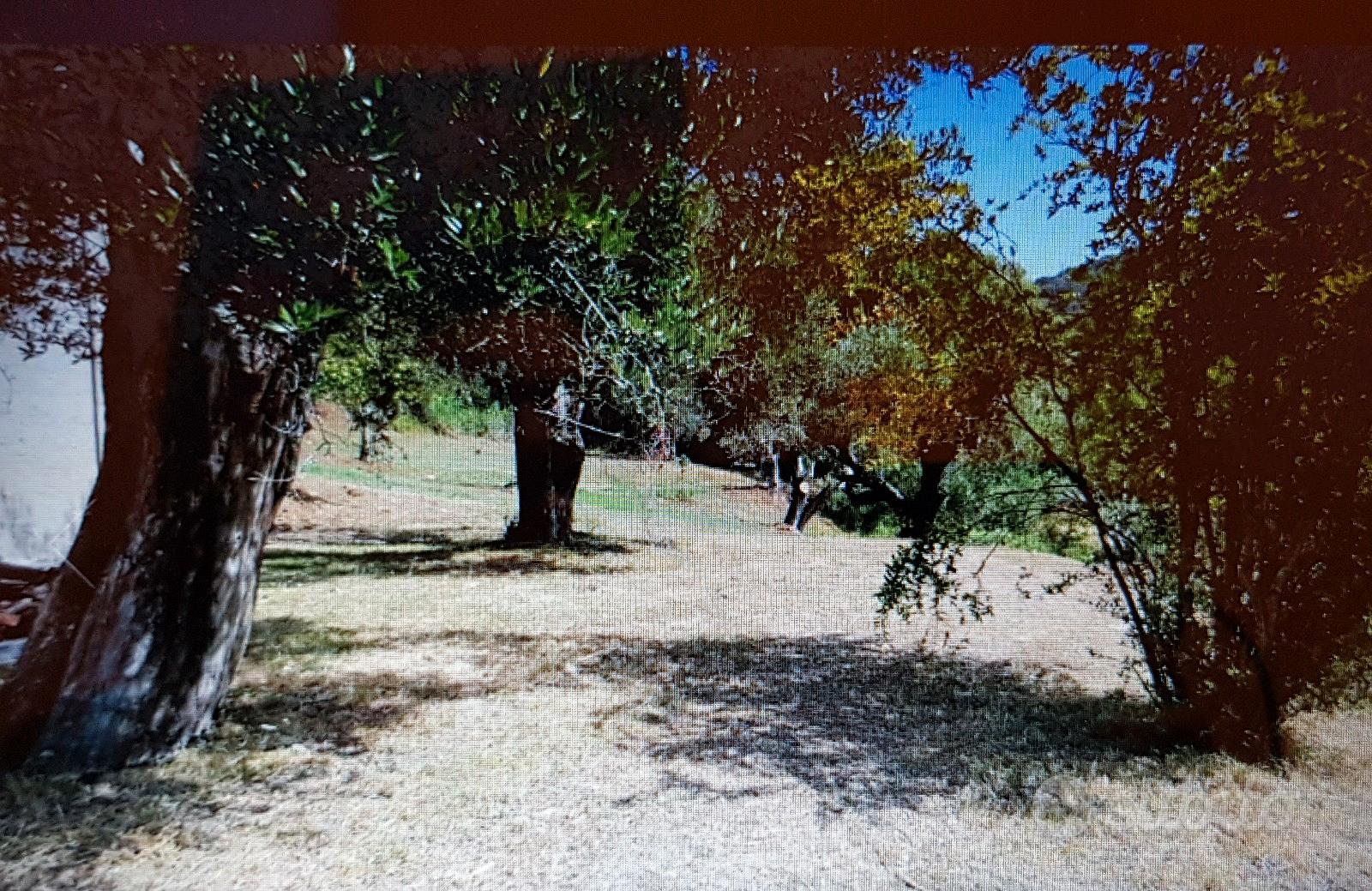 House in Vibonati, Villammare - Vista 3