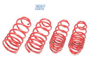 KIT MOLLE SPORTIVE PER FORD