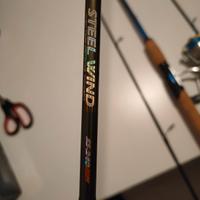 2 canne da pesca spinning Captur + Shimano