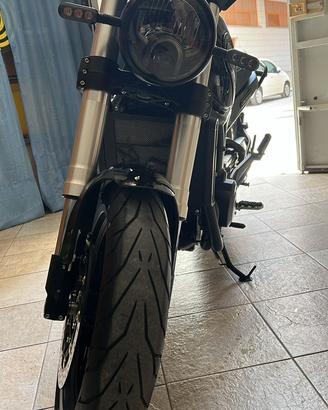 Benelli leoncino 500