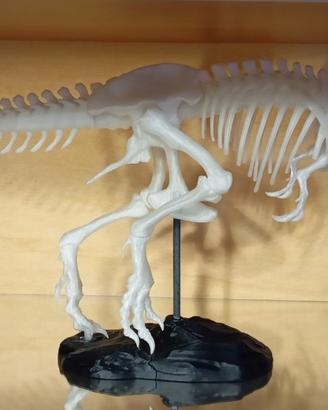 dinosauro