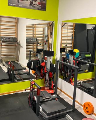 Isoinerziale DESMOTEC D-FULL