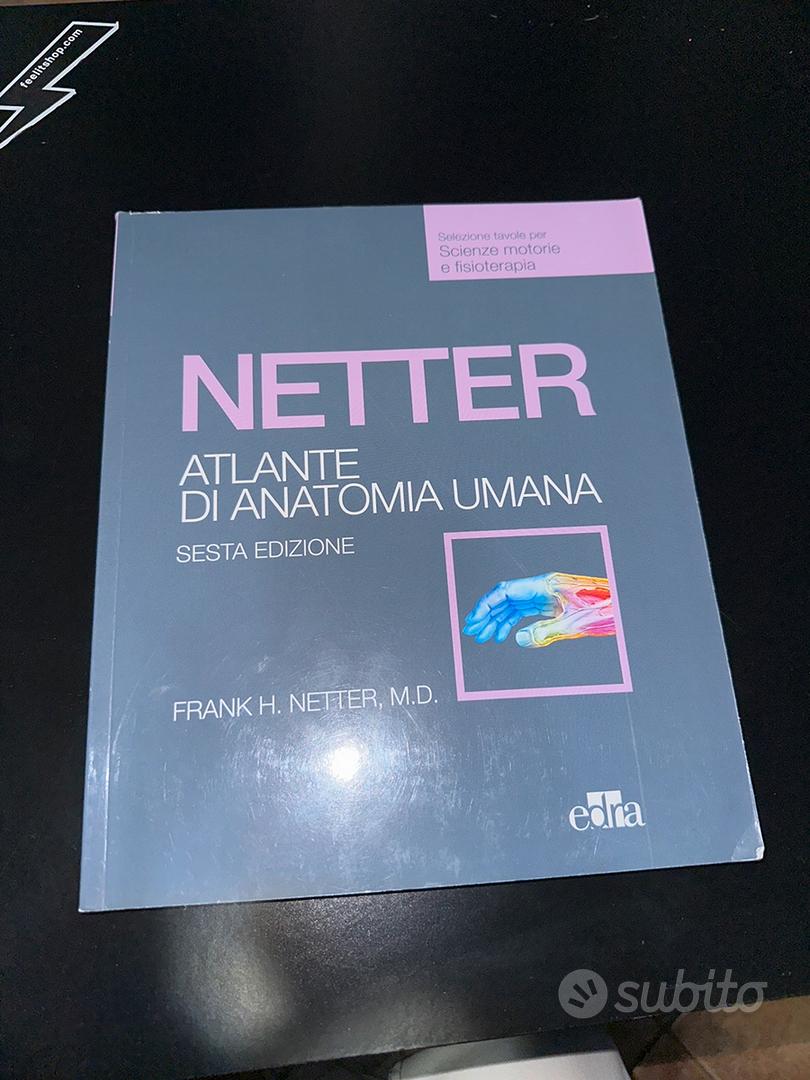 Anatomia per scienze motorie e fisioterapia. Atlante anatomia umana.  Selezione tavole per scienze motorie-Anatomia e fisiologia