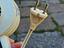 Immagine 6