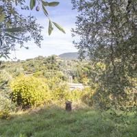 TER. AGRICOLO A PALOMBARA SABINA