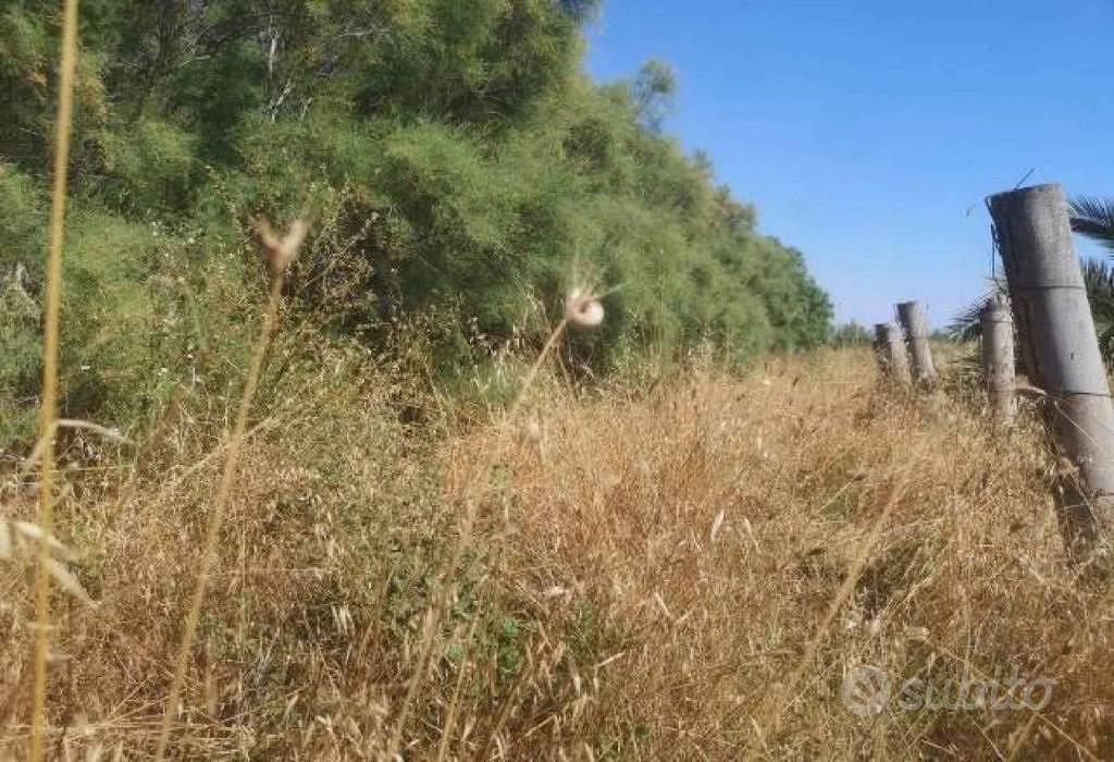 Immobile in asta di 89313 m² a Fiumicino - Vista 2