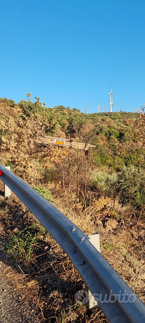 Terreno e Uliveto - Vista 3