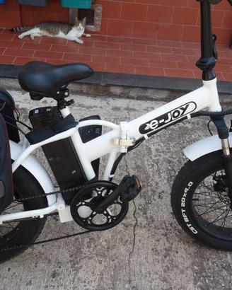 BICICLETTA A PEDALATA ASSISTITA