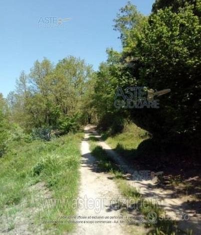 Terreno Agricolo Soriano nel Cimino [A4320937]