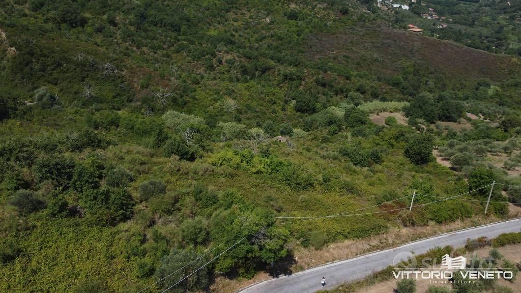 Terreno di 29526 m² a Laureana Cilento - Vista 4