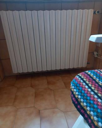 Termosifoni in ghisa