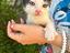 Immagine 4