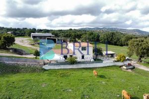 Azienda agricola nel cuore della Gallura