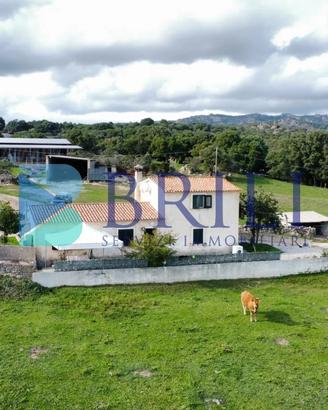 Azienda agricola nel cuore della Gallura