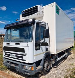 Motrice frigo con sponda idraulica IVECO