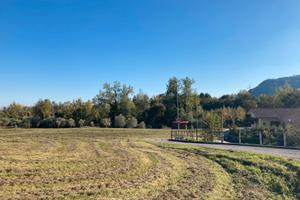 Uliveto con terreno edificabile