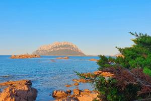 Bilocale vista mare Murta Maria Porto Istana Olbia