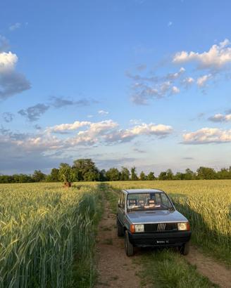 Panda 4x4 1983 motore non funzionante