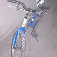 bicicletta "Kappa-Puzone"