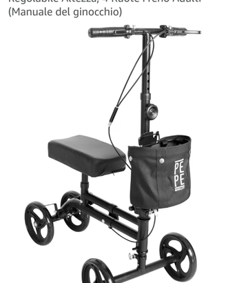 Sedia a rotelle deambulatore