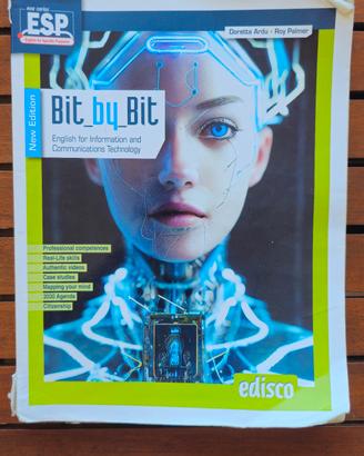 Libro "Bit by Bit"
