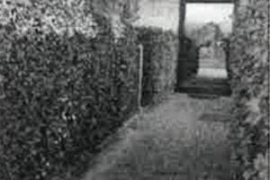 Immobile in asta di 69 m² con box auto a Montebell