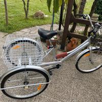 Bicicletta a tre ruote