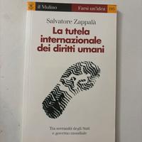 Libro la tutela internazionale dei diritti umani