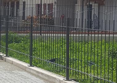 Cancellate/ Ringhiere