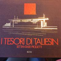 libro I tesori di taliesin