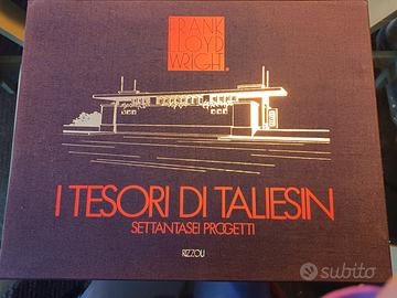 libro I tesori di taliesin